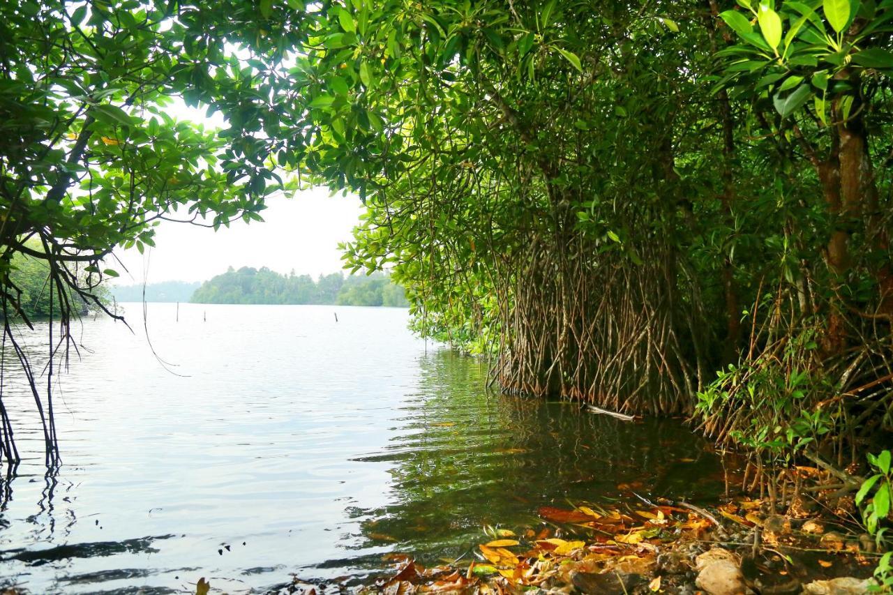 Global Lake Villa Hikkaduwa Exteriér fotografie
