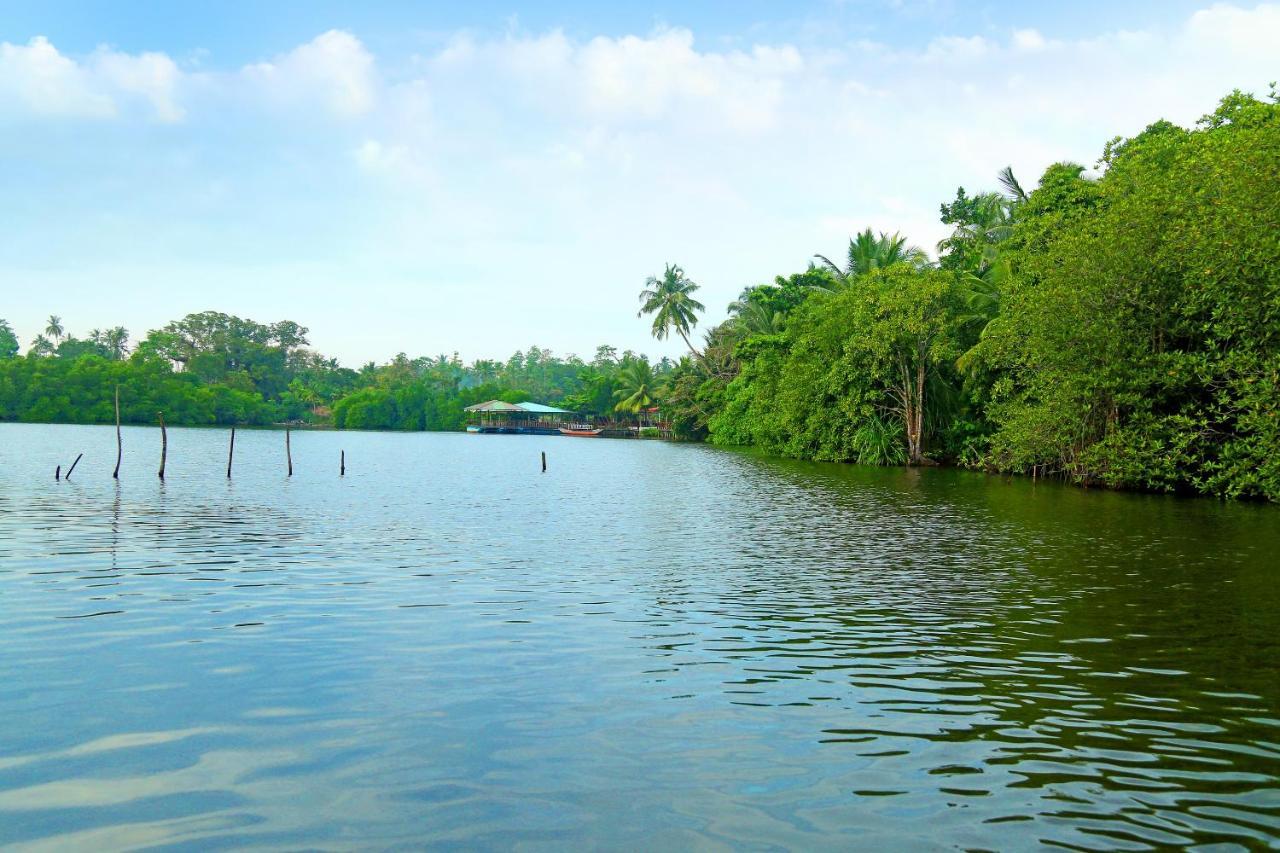 Global Lake Villa Hikkaduwa Exteriér fotografie